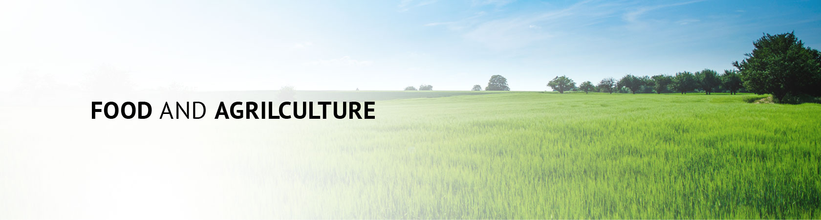 FOOD AND AGRILCULTURE