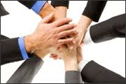 our team