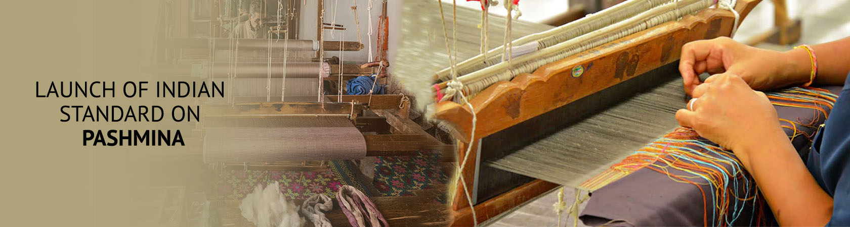 pashmina-website-banner1