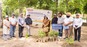 https://www.bis.gov.in/wp-content/uploads/2025/01/plantation-1.jpeg
