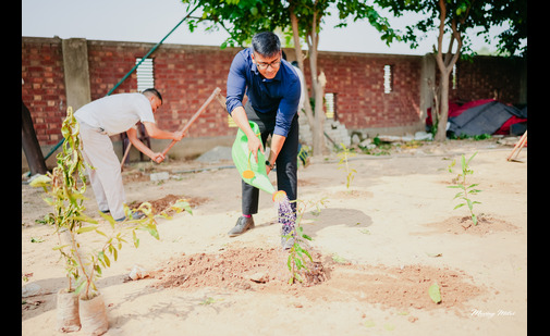 https://www.bis.gov.in/wp-content/uploads/2025/01/plantation-2-1.jpg