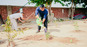 https://www.bis.gov.in/wp-content/uploads/2025/01/plantation-2.jpg